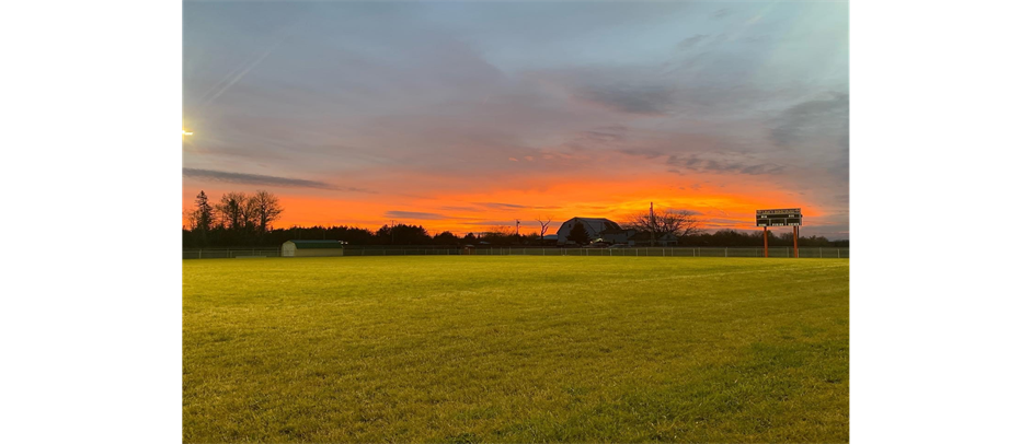 Lisa's Boneyard: Our Home Field